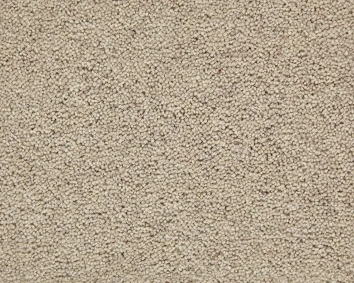 Capet in Bronze Twist Straw Texture from Flooring Factory Outlet