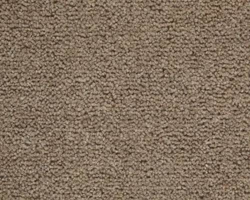 Carpet Twist Pembroke Texture by Flooring Factory Outlet