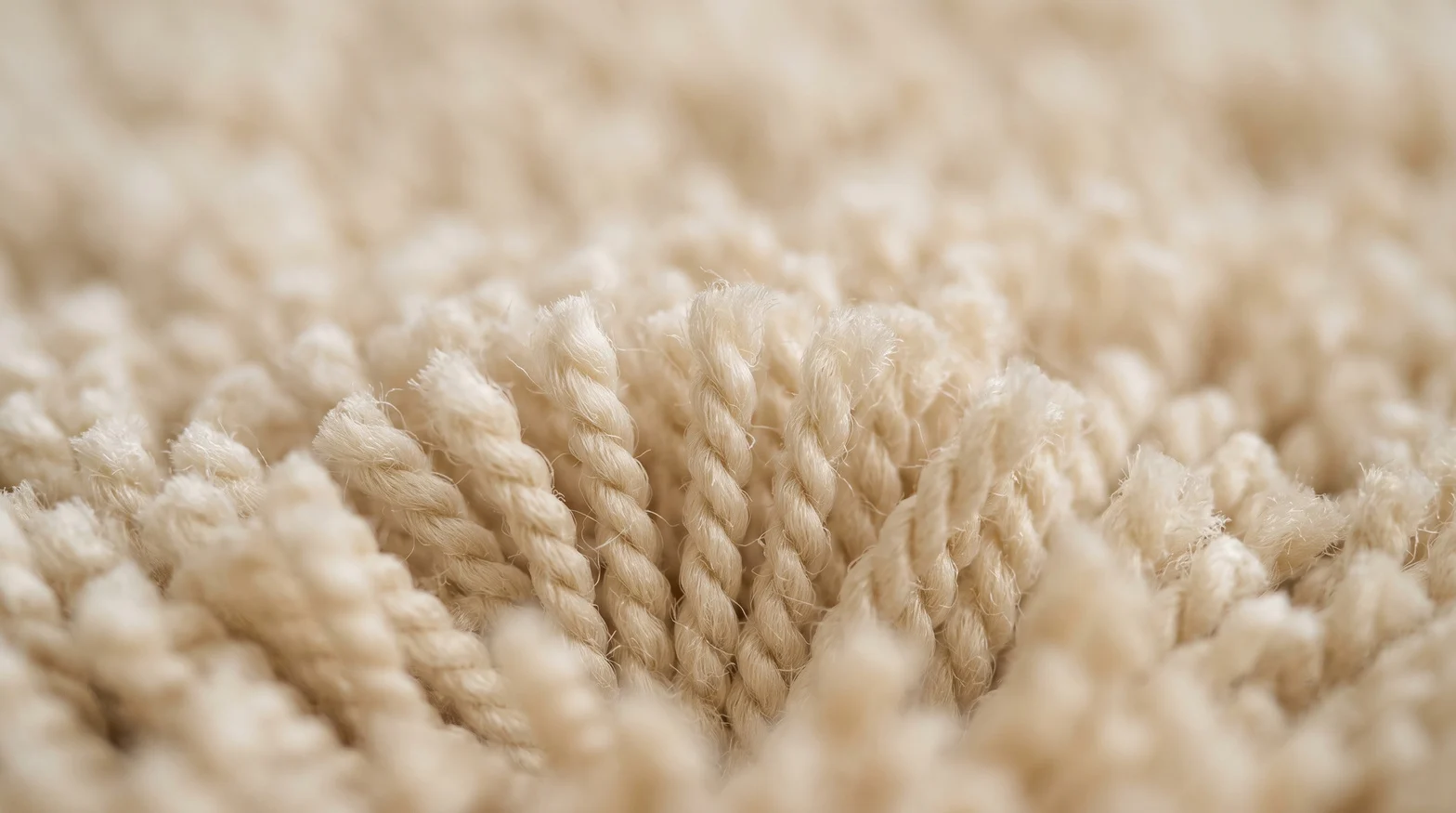 Carpet Living Area Macro